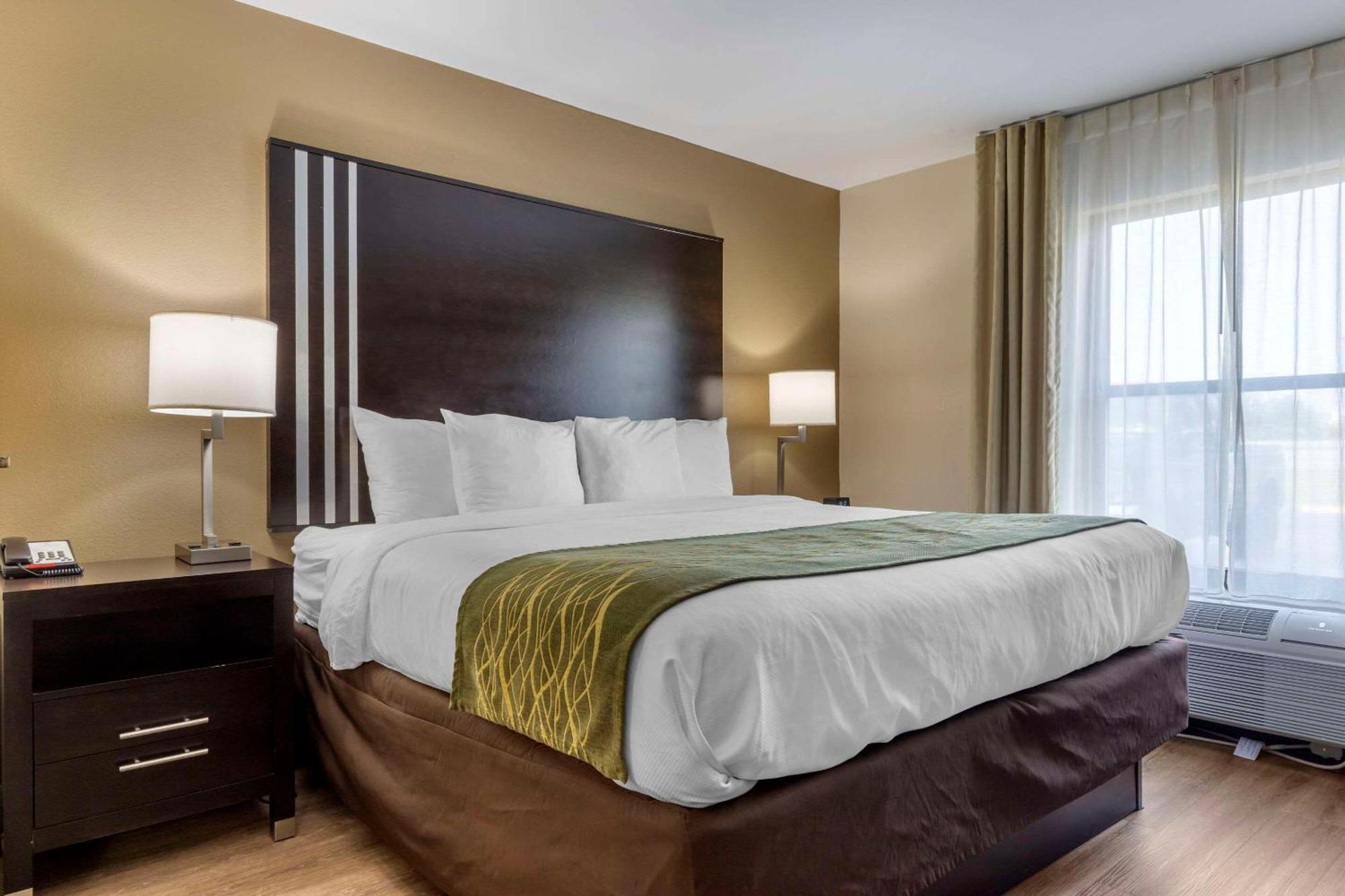 Comfort Inn Near Downtown & Blue Ridge Pkwy Marion Luaran gambar