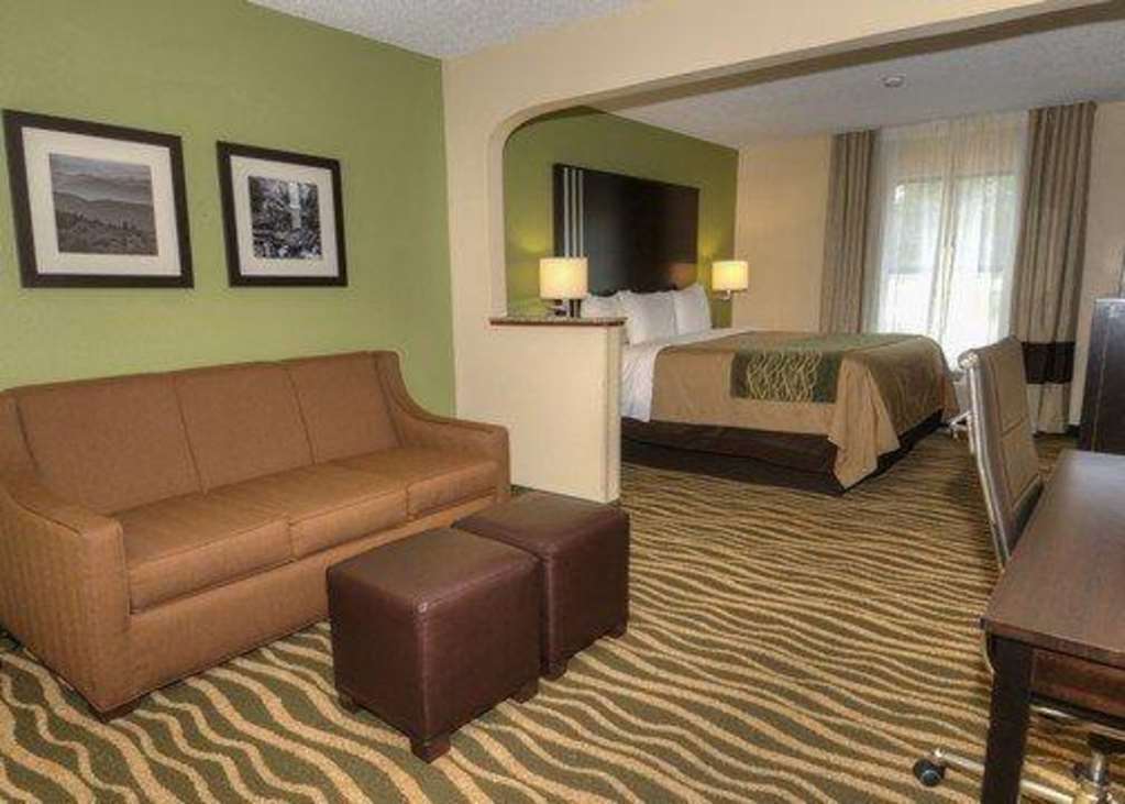 Comfort Inn Near Downtown & Blue Ridge Pkwy Marion Bilik gambar